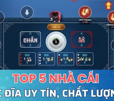 Top 5 Nhà Cái Xóc Đĩa Uy Tín, Chất Lượng Nhất Hiện Nay